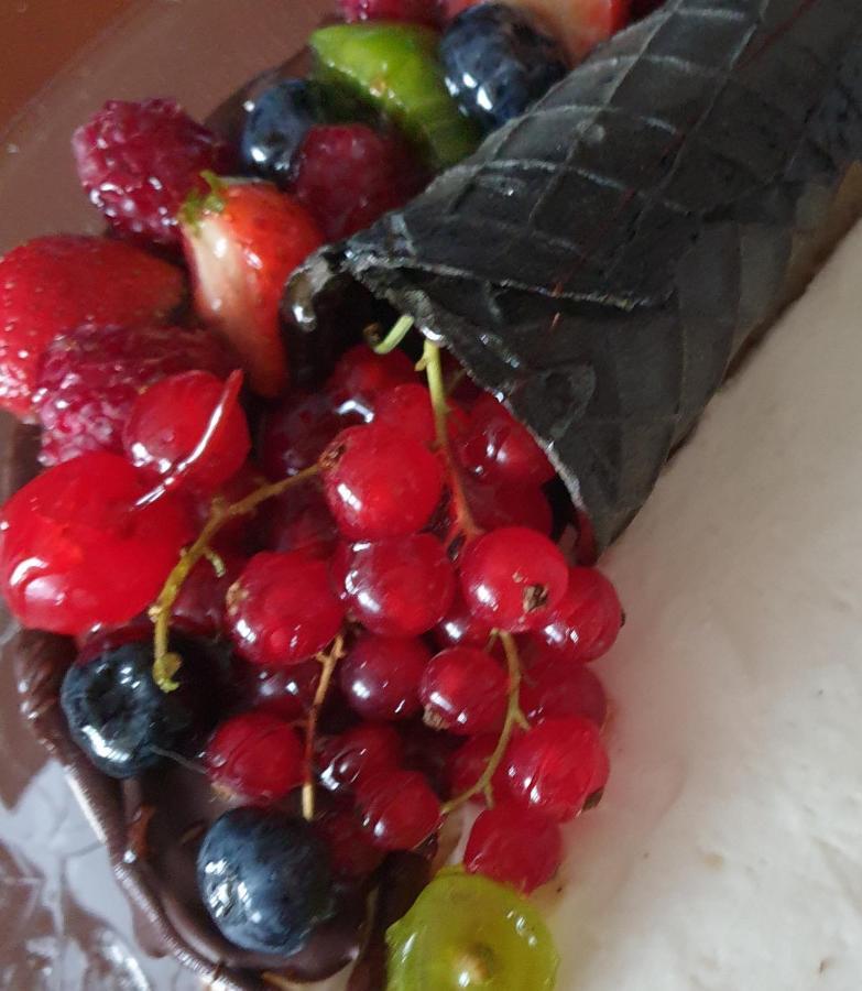 Sweet Honey Mieszkanie W Plocku Apartment Luaran gambar